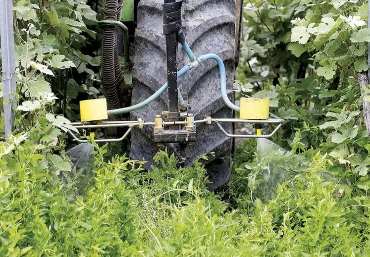 Le ministère de l'Agriculture a publié des indicateurs actualisés sur les utilisations de pesticides dont les chiffres peinent à dessiner une nette amélioration, avec une réduction des épandages restant très éloignés des objectifs d'Écophyto2 +. Les discussions pour élaborer le plan suivant devraient démarrer début 2023.