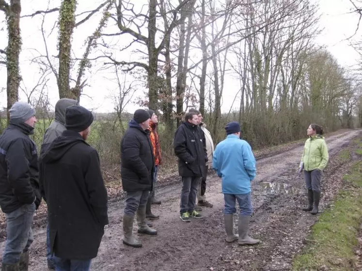 Sur les exploitations, les haies sont souvent considérées comme une contrainte. Mais elles présentent aussi des opportunités : des agriculteurs du département de l'Ain ont élaboré un programme d'action sur trois ans, chapeauté par une charte de gestion durable du bois.