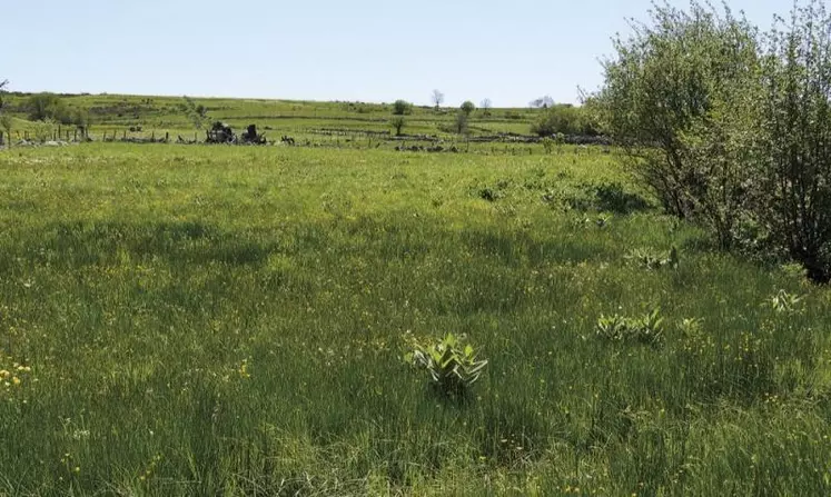 Pour célébrer le travail des agriculteurs et des pâturages, l'Ipamac diffuse une série de vidéos sur les pâturages dans les parcs naturels.