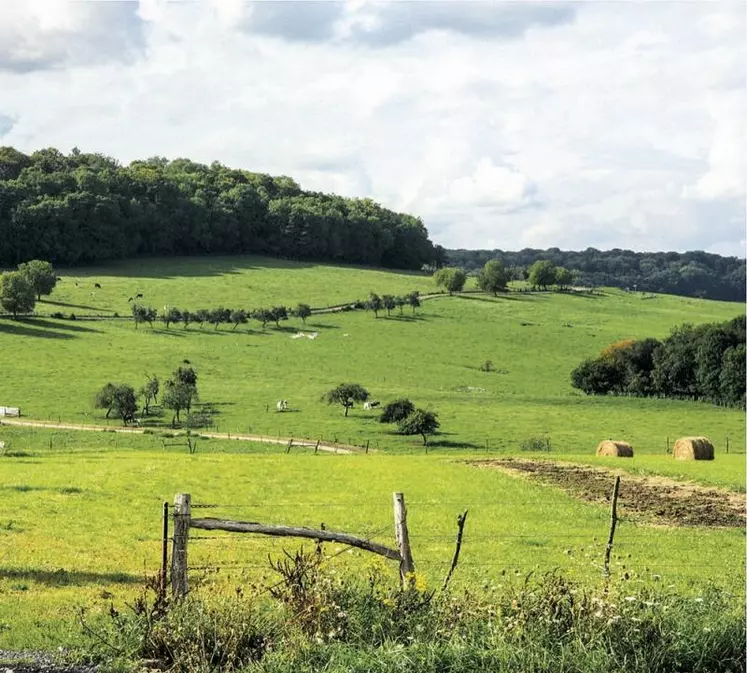 Souvent modifié depuis une dizaine d’années, le régime des installations classées est dans le viseur du projet de loi Industrie verte, dont l’examen débutait le 20 juin au Sénat. Pas de nouvelle révision des seuils au programme, mais une accélération de la procédure d’autorisation environnementale, qui concernera notamment le secteur agricole.