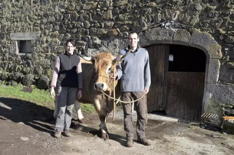 Florence et Thibaut Dijols entourent Haute, égérie du prochain Salon de l’agriculture, du 24 février au 4 mars, lors de l’une de ses premières sorties d’hiver sous le soleil.