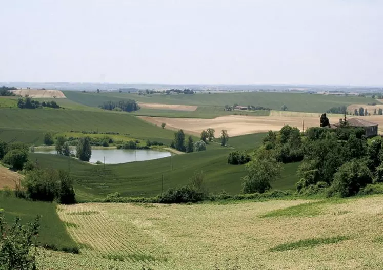 Selon des proches du dossier, l'avant-projet de loi d'orientation agricole n'inclut plus d'article sur le stockage de l'eau. De son côté, la FNSEA s'impatiente et souhaite des mesures fiscales pour la transmission dès le PLF.