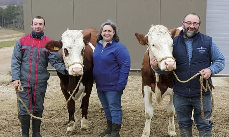 Brunes, Simmental, Prim'Holstein, et Montbéliardes investiront le samedi 9 avril la halle d'Aumont-Aubrac pour le concours des miss laitières. Portrait de Julien Pic, du Gaec de la Fage qui concourt cette année, pour la première fois avec deux vaches, les montbéliardes Pacifique et Précieuse.