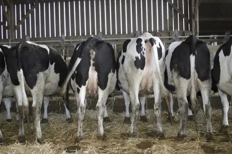 Le Net'traite est un diagnostic réalisé par les techniciens de la chambre d'agriculture, qui vient en complément de l'Opti'traite.