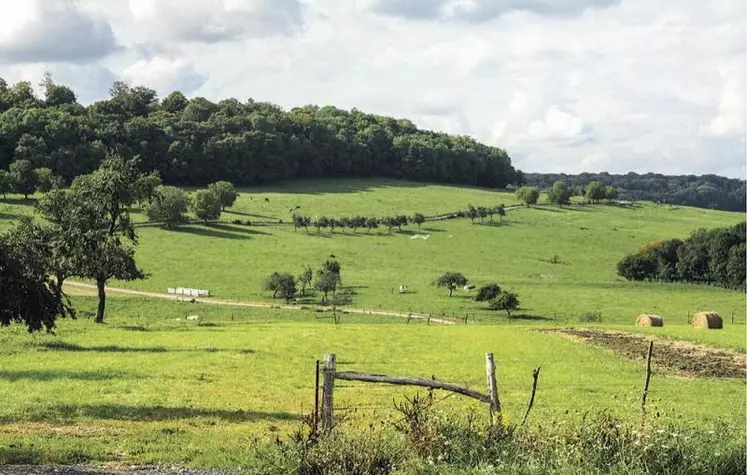 Les préfets métropolitains ont fixé les seuils d’agrandissement significatif qui doivent déclencher le nouveau contrôle des parts sociales agricoles mis en place par la loi Sempastous. Elle doit s’appliquer à partir du 1er avril.