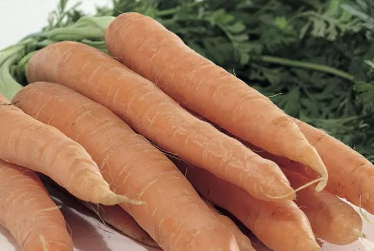 Toujours disponible et très bon marché, la carotte est le deuxième légume le plus consommé en France, juste derrière la tomate.