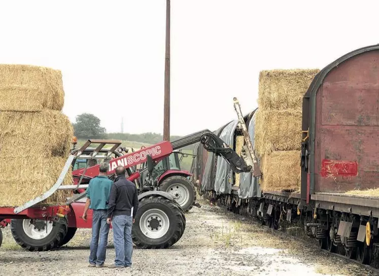 Le monde agricole s’est depuis toujours organisé autour de la notion de « faire ensemble ». Le numérique multiplie le champ des possibles en la matière.