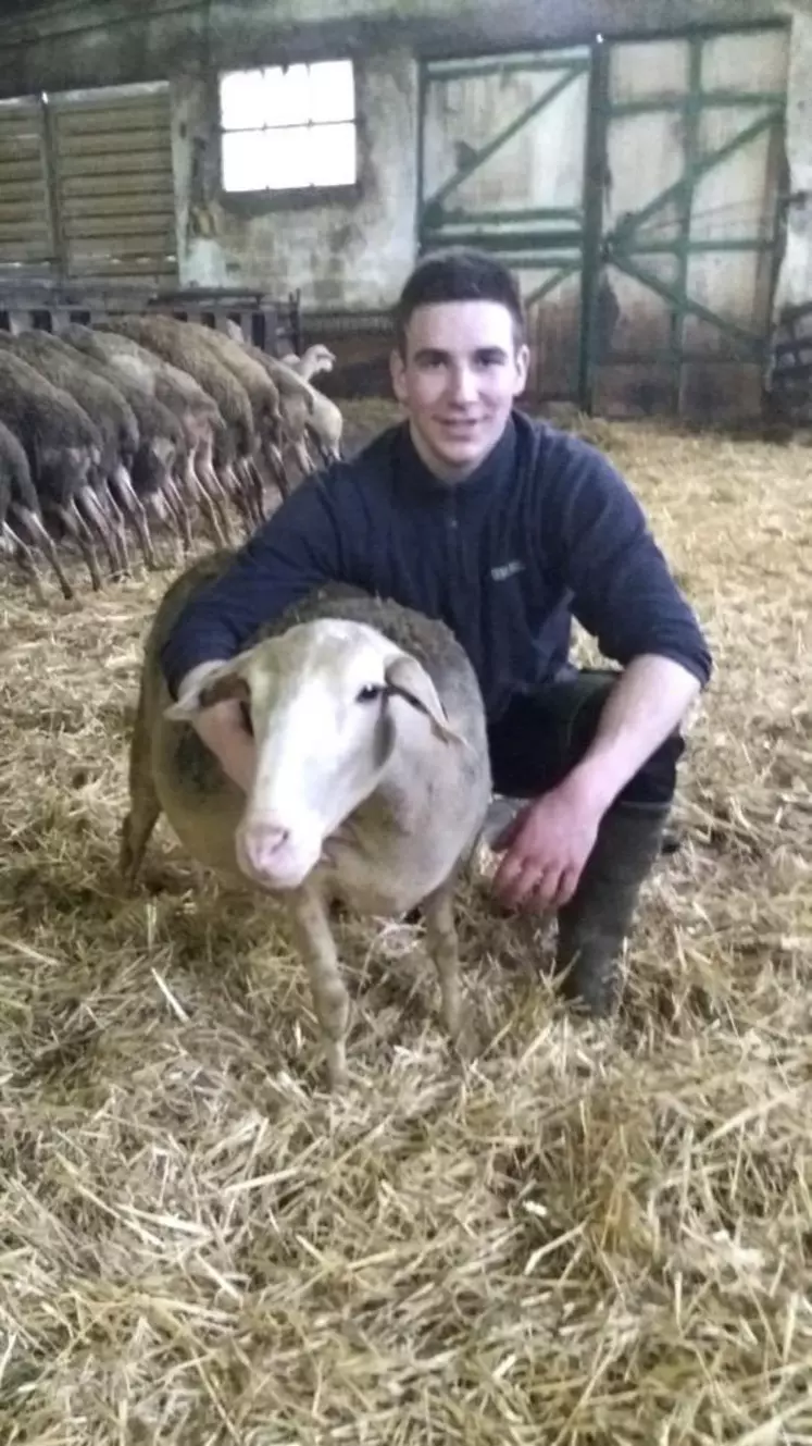 Antoine Pelat a été sélectionné pour le trophée du meilleur pointeur dans la catégorie des ovins.