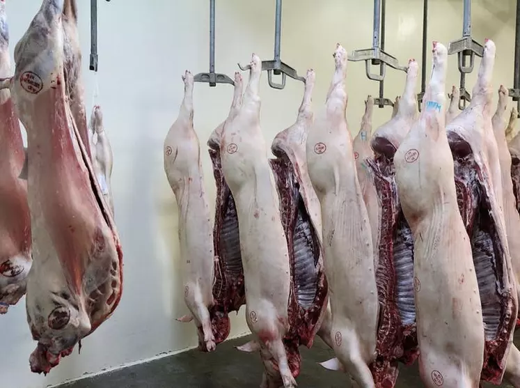 L’abattoir de Langogne traite à 70 % du porc pour un volume total de 4 000 tonnes par an. Cependant, c’est un abattoir multi-espèces.