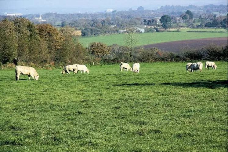 La volonté de la Commission européenne de moderniser le réseau européen d'information comptable agricole rencontre des réticences chez les États membres qui craignent une surcharge administrative. Les discussions sur ce dossier entreront dans le vif du sujet cet automne.