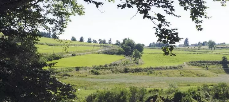 Opération décennale européenne obligatoire, le recensement agricole a commencé le jeudi 1er octobre 2020 dans toute la France, et durera jusqu’en avril 2021. Objectif affiché par le ministère de l’Agriculture : « mieux connaître notre agriculture aujourd’hui pour mieux décider demain de politiques agricoles adaptées à la réalité du terrain ».