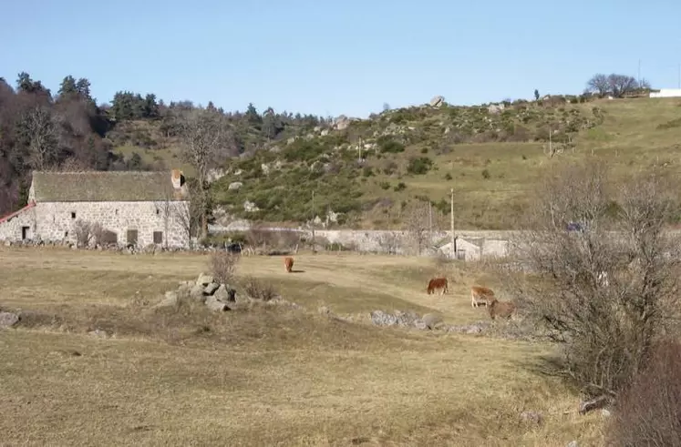 Le 29 janvier, la loi sur le patrimoine sensoriel des campagnes portée par le député UDI et indépendants Pierre Morel à l’Huissier, a été adoptée à l’Assemblée nationale.