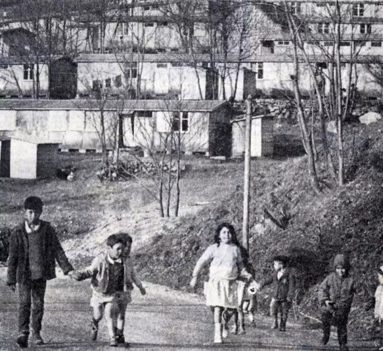 Dans les années soixante, des harkis rapatriés d'Algérie ont participé à la replantation d'une partie des forêts de Lozère. Une histoire méconnue qui a ressurgi il y a dix ans à la faveur d'une exposition à Pourcharesses et dont subsistent peu de traces.