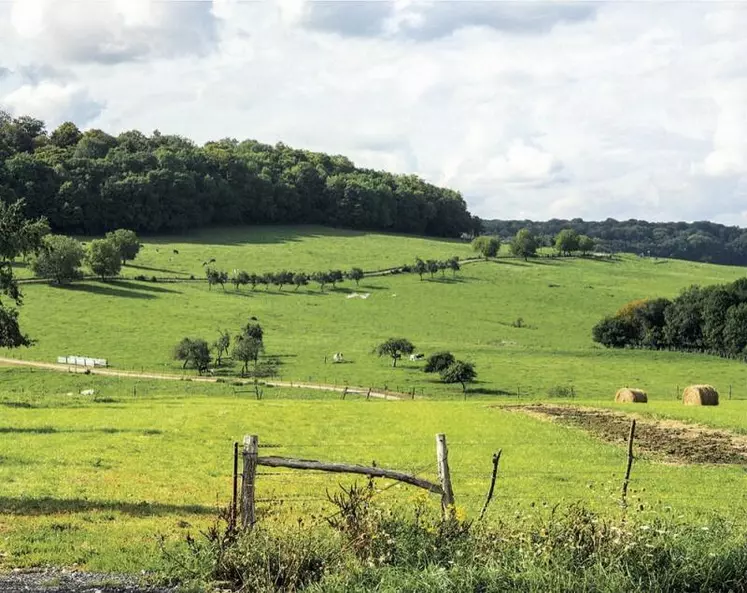 Les agriculteurs lozériens ont jusqu'au 30 juin pour profiter des subventions du plan de relance pour financer un projet de plantation de haies. L'association Copage qui aide à monter de tels projets rappelle leurs nombreux intérêts agro-écologiques.