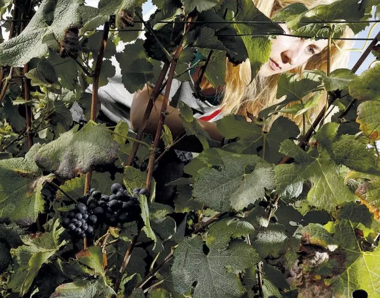 Le travail saisonnier est une véritable valeur ajoutée essentielle pour l'activité et l'attractivité de certaines filières agricoles.