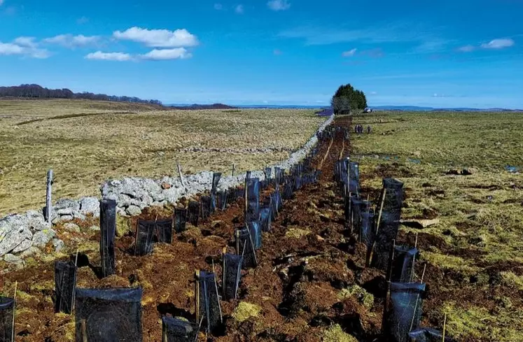 Au cours du mois de mars, les élèves du CFA de Marvejols, les bacs STAV et une classe de seconde général du lycée François Rabelais de Civergols ont participé à des projets de plantations de haies et de bandes boisées sur le plateau de l'Aubrac. L'association Copage a animé ces journées en lien avec les établissements.