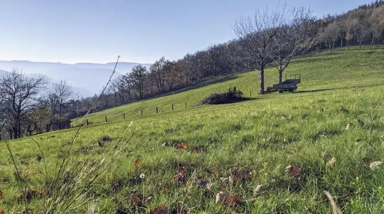 Le potentiel de stockage additionnel de carbone dans les sols agricoles et forestiers français entre 0 et 30 cm est estimé à 5,78 millions de tonnes de carbone par an.