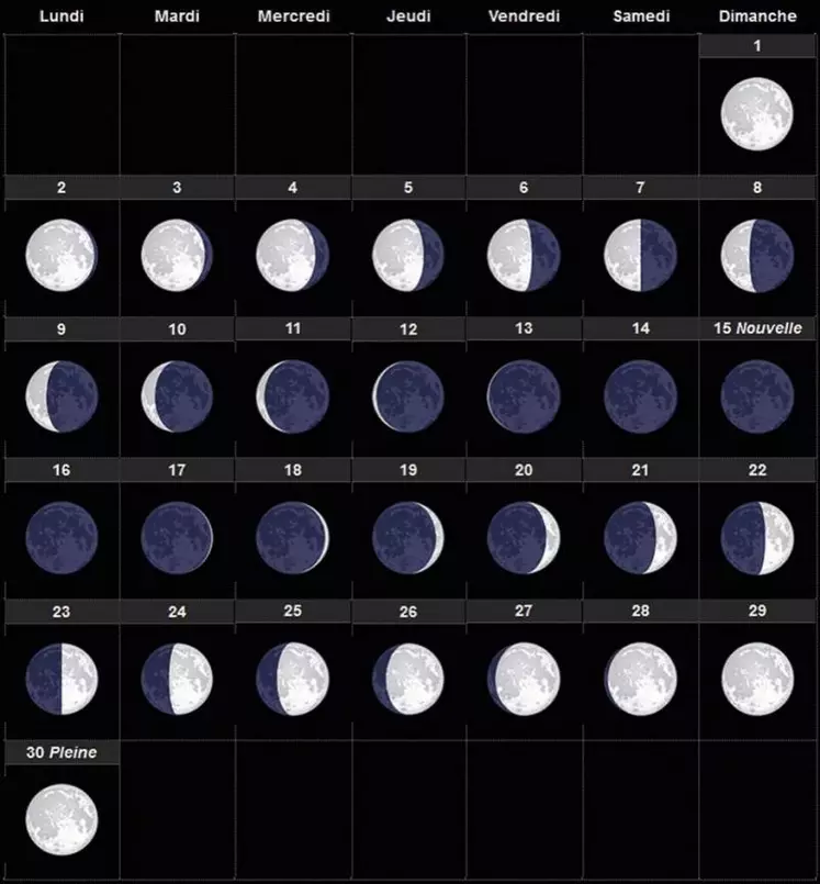 Les calendriers lunaires donnent des tendances « mais chaque organisme réagit de manière différente », souligne René Becker.