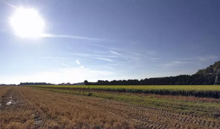 Comme chaque année, l’organisme de conseil et d’expertise de la filière agricole présente en ce mois de janvier ses résultats économiques pour les différentes filières. Si les filières ovines conservent une bonne tenue, les éleveurs bovins eux accusent encore le contrecoup de la pandémie, d’après les premiers résultats.