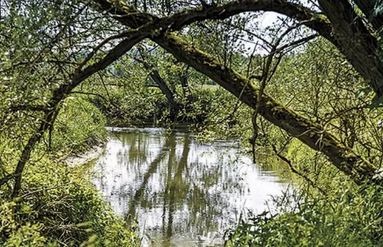 Les Sdage des principaux bassins ont été publiés au Journal officiel la semaine du 4 avril. Sans présenter de réorientation majeure, certains marquent des durcissements sur la protection de la qualité ou les volumes prélevables, dans la lignée des Assises de l'eau de 2019. Mais les textes d'application issus du Varenne, espère l'Apca, pourraient encore faire bouger les lignes sur le second volet.