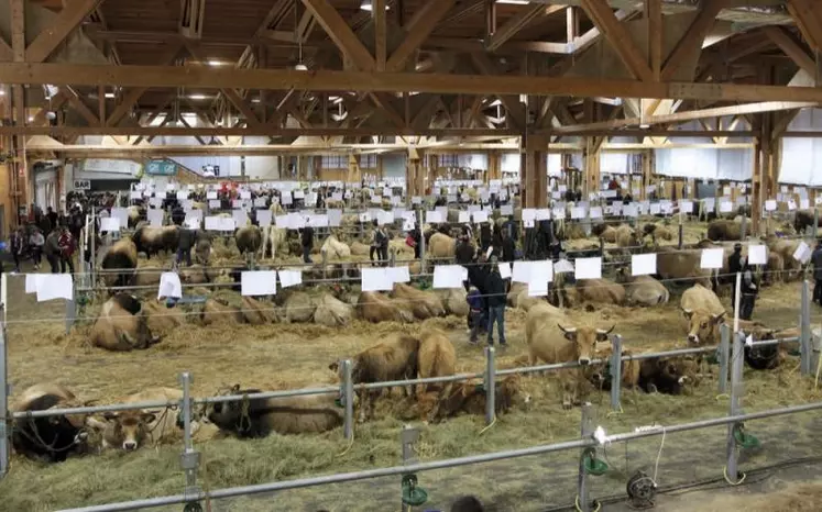 Samedi 18 et dimanche 19 septembre a eu lieu le concours départemental Aubrac à la halle d'Aumont-Aubrac.