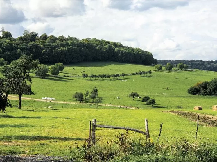 L'arrêté ministériel constatant pour 2023 l'indice national des fermages a été pris le 18 juillet dernier.