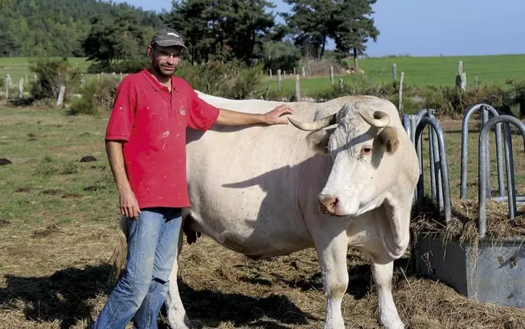 Samedi 17 et dimanche 18 septembre, le concours Qualiviande aura lieu à la grande halle d'Aumont-Aubrac. L'occasion pour Anthony Poulalion, du Gaec du Chaplas à Tridos, de montrer ses charolaises pour la première fois.