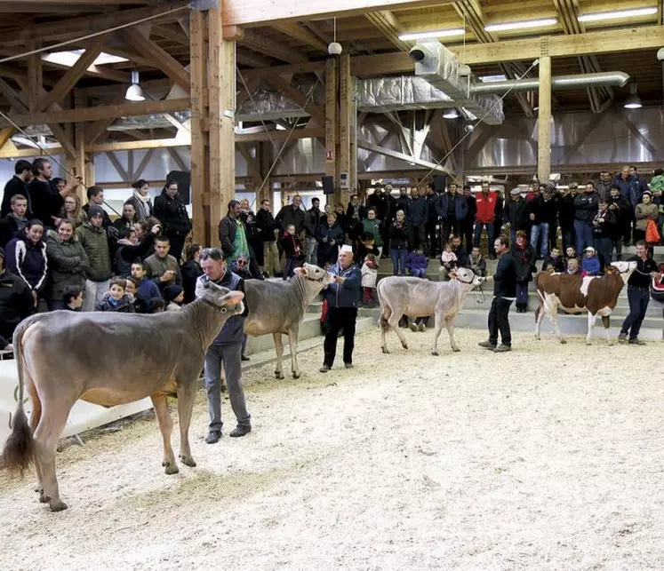 Du 21 au 23 avril, sous la halle d'Aumont-Aubrac, auront lieu les Journées laitières. Une belle édition, qui devrait réunir autant d'éleveurs que de visiteurs, et permettra de montrer le dynamisme du secteur laitier dans le département.