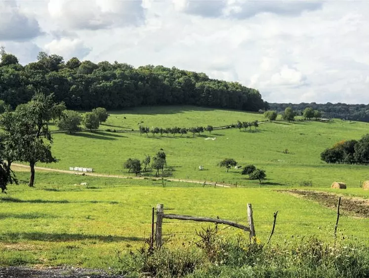 Les deux marques de la start-up nordiste Beyond Green s'approvisionnent en matières premières agricoles auprès de cultivateurs français en conversion du conventionnel vers le bio. Après la distribution spécialisée, la société lance à l'échelle nationale une marque dédiée aux grandes surfaces.