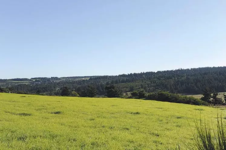 Les amis de l’Aigoual, du Bougès et du Lozère réunis pour leur 32e assemblée générale, à Meyrueix, ont invité Christian Lévêque* pour une conférence passionnante sur la relation entre biodiversité et humanité.