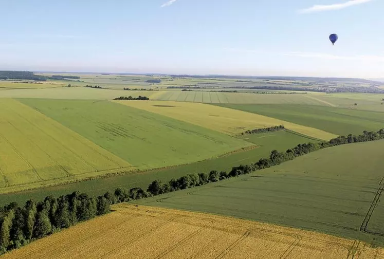 Les discussions qui débutent au sein du Parlement européen sur les propositions de la Commission européenne concernant l'utilisation des sols, le changement d'utilisation des sols et la foresterie (LULUCF) promettent d'intenses débats.