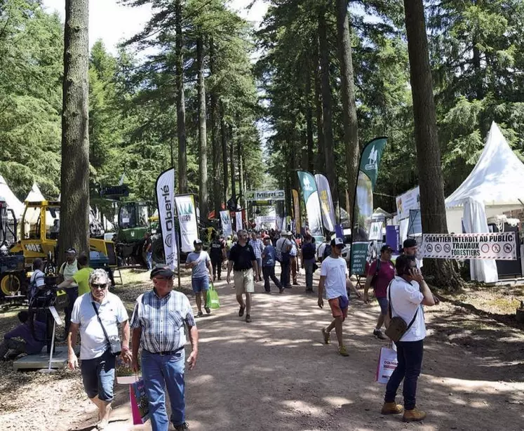 Pour sa huitième édition, qui se tiendra les 22, 23 et 24 juin à Saint-Bonnet-de-Joux, en Saône-et-Loire, Euroforest réunit près de 400 exposants originaires de 17 pays pour présenter les récentes innovations en termes de matériels et de services, dans un secteur qui cristallise les attentes. Un secteur à la fois victime du changement climatique et qui offre une solution de décarbonation à long terme.