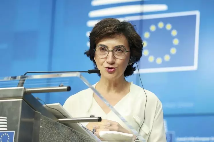 Maria do Céu Antunes, ministre de l'agriculture portugaise, en conférence de presse lors de la commission Agriculture et pêche de mai 2021.