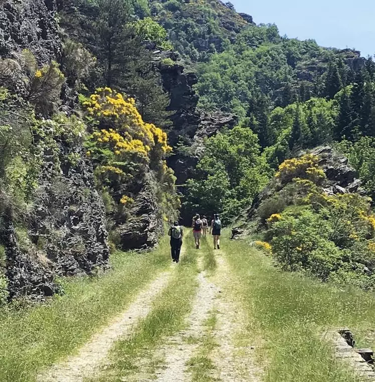 Alors que les annonces de déconfinement ont permis au secteur du tourisme d’envisager l’été, l’association du chemin Stevenson a présenté, ce 3 juin, un plan d’activité pour passer une saison qui s’annonce difficile.