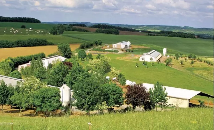 Le ministre de la Justice Éric Dupond-Moretti a annoncé l'expérimentation d'une dizaine de tribunaux des affaires économiques qui prendront en charge les procédures amiables des agriculteurs. Il a appelé le monde agricole à informer davantage les exploitants sur ces procédures, et souhaite former les magistrats aux spécificités des entreprises agricoles.