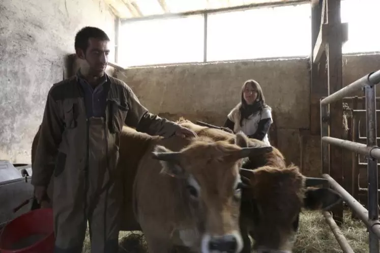 Nicolas Nouet et Fanny Janvier avec leurs deux prétendants : Mimosa et Napoléon.