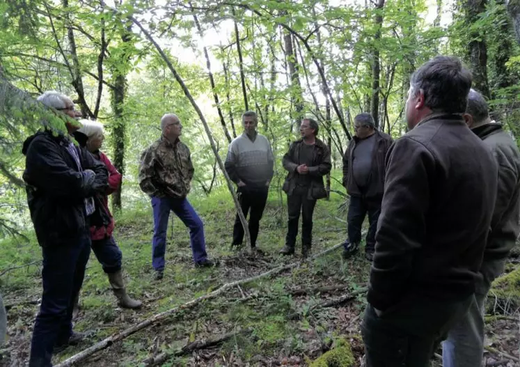 Chasseurs et forestiers se retrouvent autour de l’équilibre sylvo-cynégétique de la forêt.