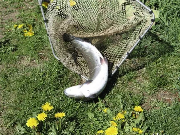 La pêche à la truite est possible jusqu'au 20 septembre.