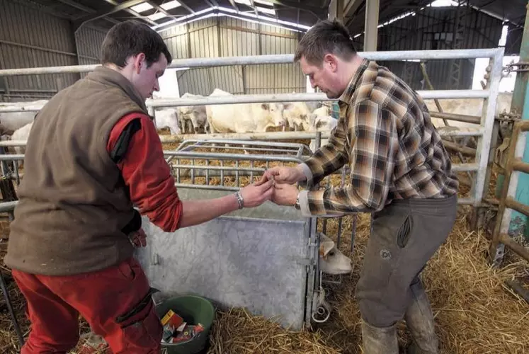 Les partenaires sociaux agricoles ont convenu de lier l’entrée en vigueur de la convention collective nationale de la production agricole et des Cuma (CCN PA‑Cuma) à l’extension du texte, et au 1er jour du trimestre suivant la publication de l’arrêté d’extension. L’arrêté d’extension n’étant pas paru au Journal officiel avant le 1er janvier 2021, sa mise en œuvre se voit reportée au trimestre suivant.