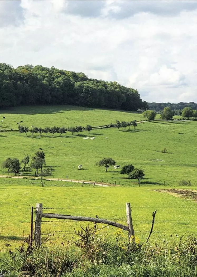 Les petites entreprises du secteur agricole pourront faire l’objet d’annulations de cotisations « au cas par cas », a annoncé le ministre des Finances Gérald Darmanin, à l’occasion de la présentation du troisième projet de loi de finances rectificative (PLFR3).