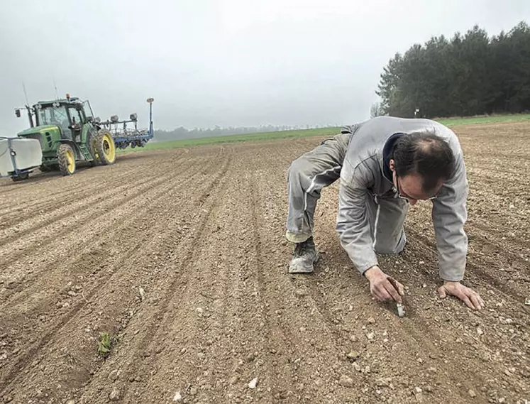 L’âge moyen des chefs d’exploitation ou d’entreprise agricole progresse de nouveau et s’établit à 49,3 ans.