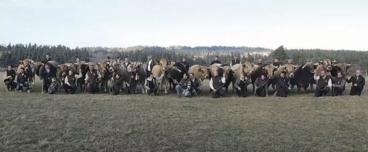 Ils sont 16 sélectionnés pour représenter la race Aubrac au salon international de l’agriculture qui se déroulera du 24 février au 4 mars à Paris.