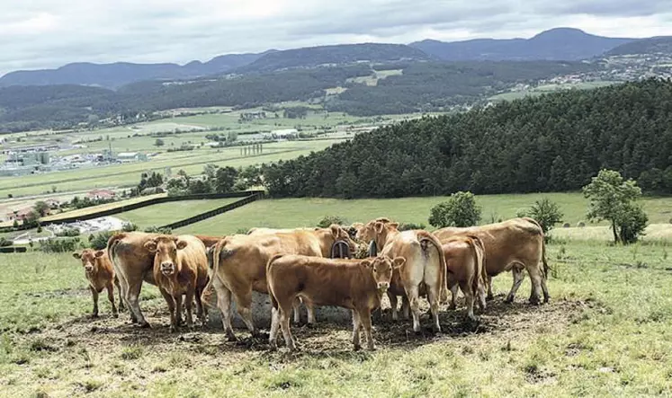 Les fermes auditées ont des profils relativement différents. Seul dénominateur commun : l’élevage de ruminants.