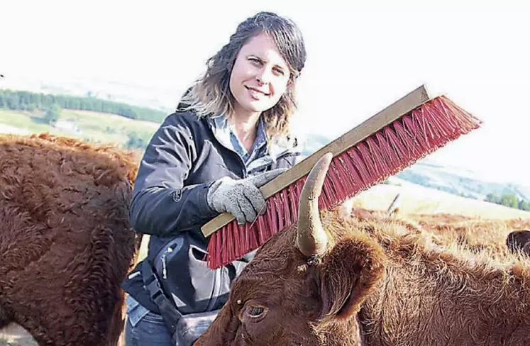 Pauline Garcia, au milieu d’un lot de génisses de 18 mois, avec son indispensable brosse pour mieux les approcher.