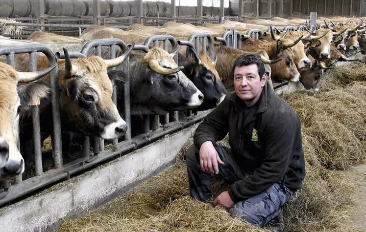 Depuis vingt ans, ce producteur de viande bovine destinée aux habitants de Bel-Air-Val-d’Ance a choisi de régulièrement investir et expérimenter sur son exploitation. Lauréat au sommet de l’élevage en octobre 2022, il sera présent au Salon de l’Agriculture pour présenter son taureau et avec, son savoir-faire d’éleveur de montagne.