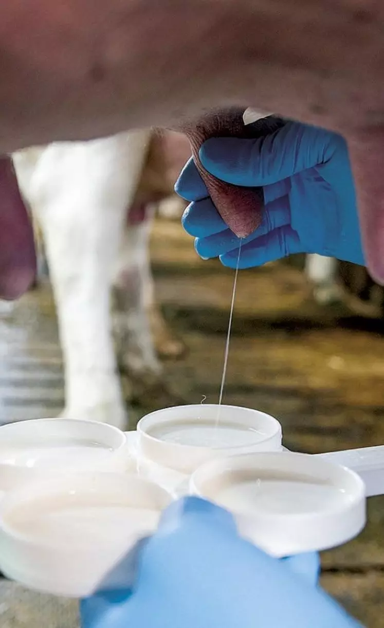 La spectrométrie IR des échantillons individuels analyse la composition fine du lait en acides gras. Des données précieuses pouvant être valorisées par votre conseiller d’élevage.