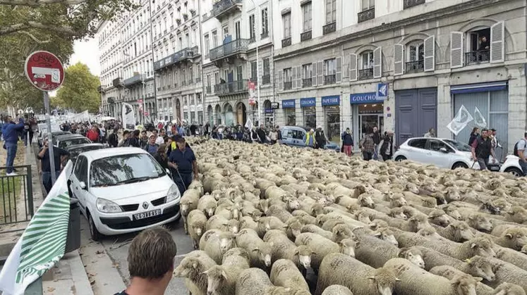 Lundi 9 octobre, entre 1 000 et 1 500 éleveurs sont venus manifester dans les rues de Lyon pour dénoncer les attaques de loups.