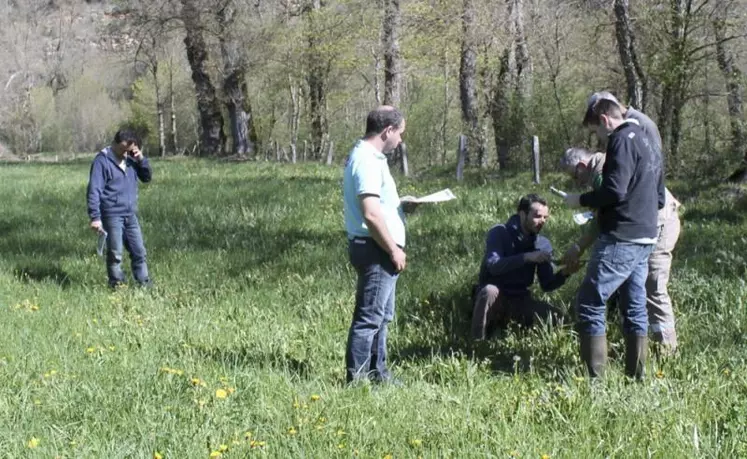 Des formations à la reconnaissance des végétaux seront organisées au printemps.