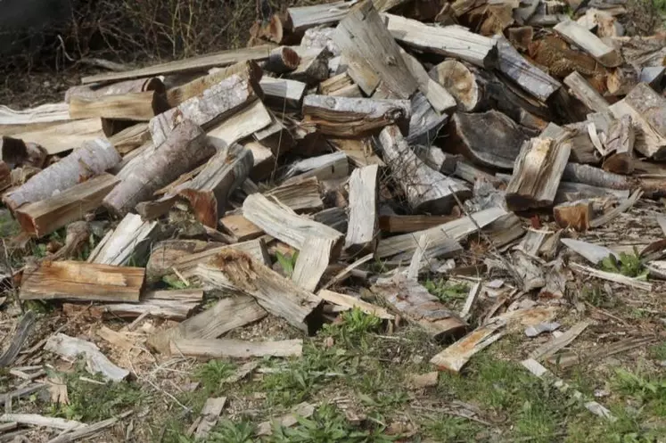 Placée en redressement judiciaire début octobre, l’usine de pâte à papier Fibre Excellence Tarascon connaît un incertain futur. Avec elle, c’est toute la filière bois de l’arc méditerranéen qui joue son avenir.