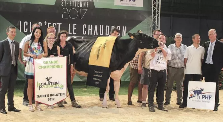 Le point d’orgue du concours national Prim’holstein était vendredi soir avec la désignation de la grande championne du concours. Elle appartient à l’EARL Lepoint, du Nord, qui a également reçu le prix du meilleur éleveur.